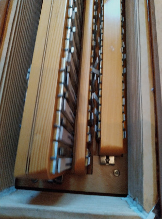 Hlasová kobylka v akordeóne